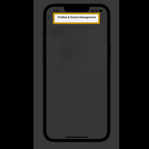 Go to Profiles and Device Management